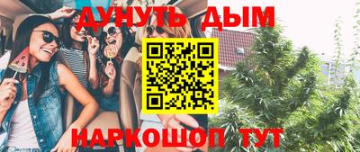 гашик Бузулук