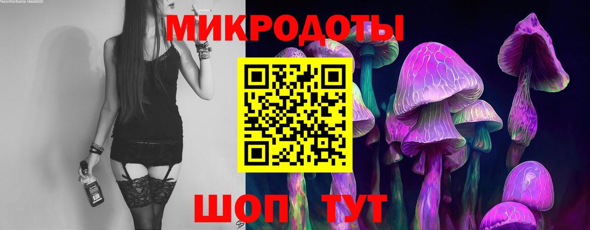 Галлюциногенные грибы Magic Shrooms Курганинск